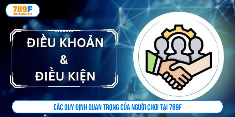 Cập nhật chi tiết và chuẩn xác điều khoản điều kiện
