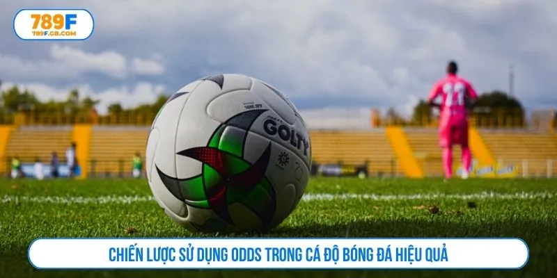 Chiến lược sử dụng odds trong cá độ bóng đá hiệu quả