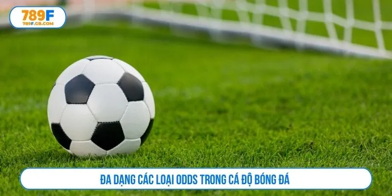 Đa dạng các loại odds trong cá độ bóng đá 