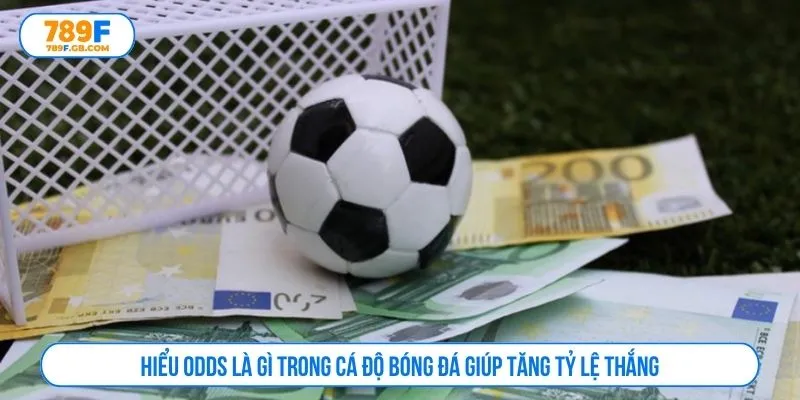 Hiểu odds là gì trong cá độ bóng đá giúp tăng tỷ lệ thắng