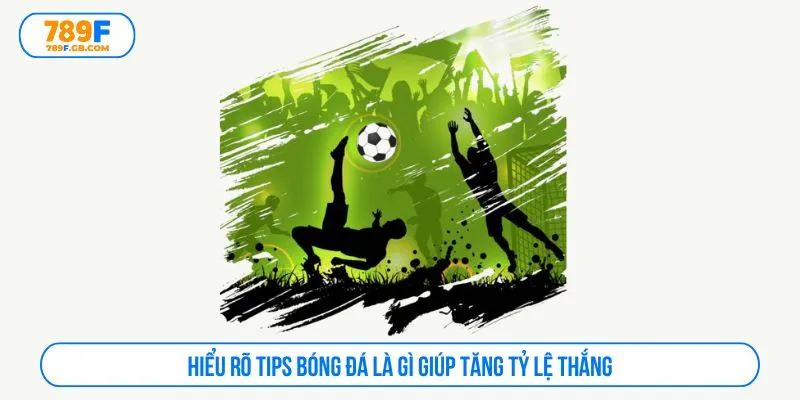 Hiểu rõ tips bóng đá là gì giúp tăng tỷ lệ thắng