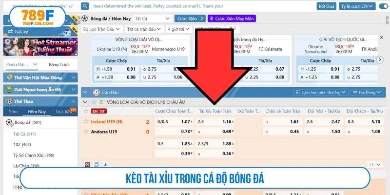 Kèo tài xỉu trong cá độ bóng đá