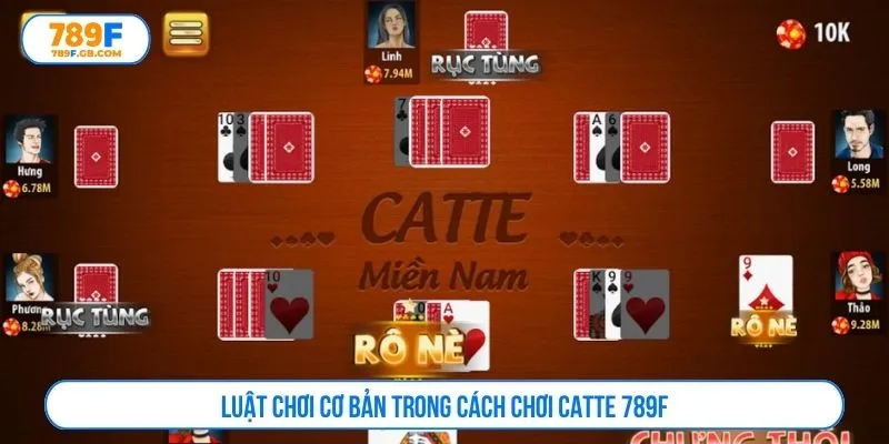 Luật chơi cơ bản trong cách chơi catte 789F