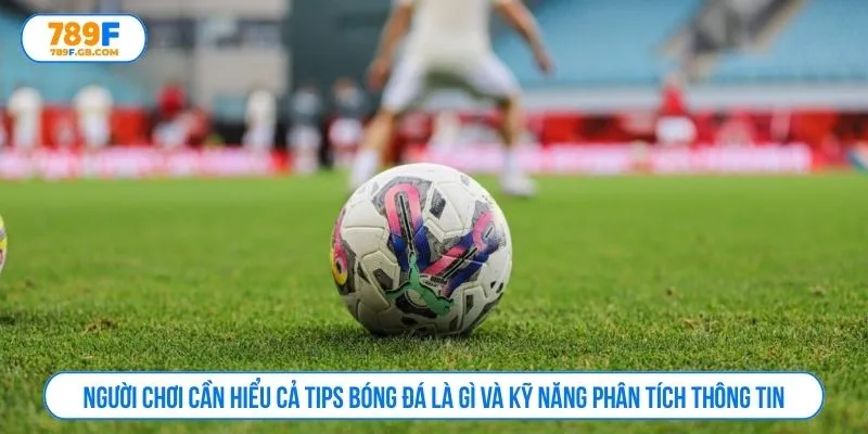 Người chơi cần hiểu cả tips bóng đá là gì và kỹ năng phân tích thông tin