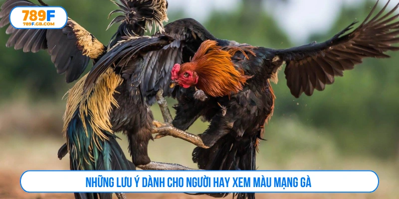 Những lưu ý dành cho người hay xem màu mạng gà 