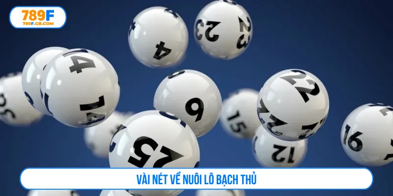 Nuôi lô bạch thủ nhận diện kết quả tiềm năng chuẩn