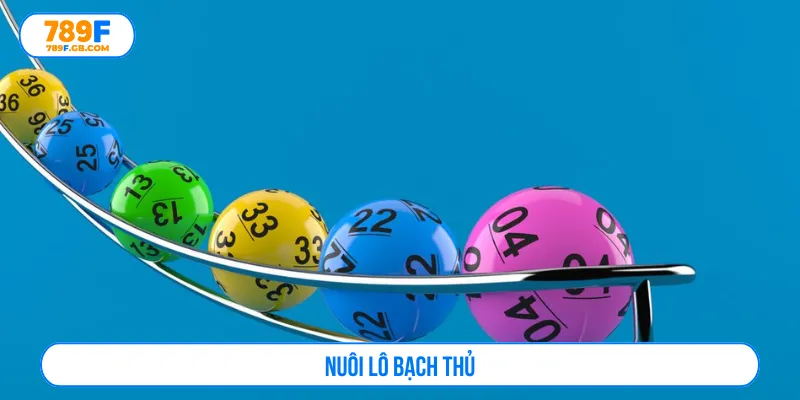 nuôi lô bạch thủ