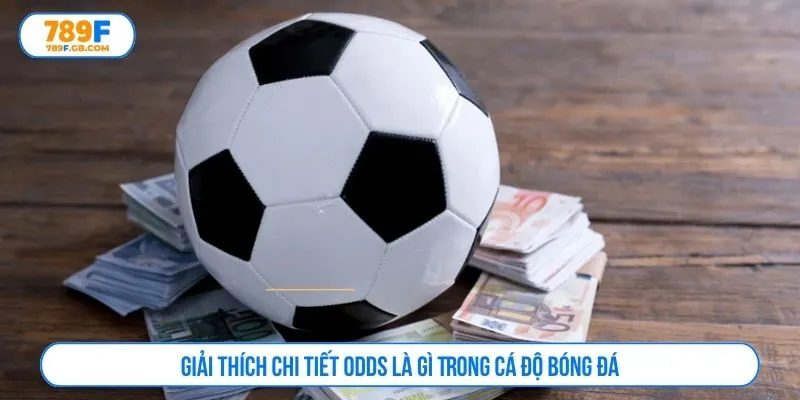 Odds là gì trong cá độ bóng đá