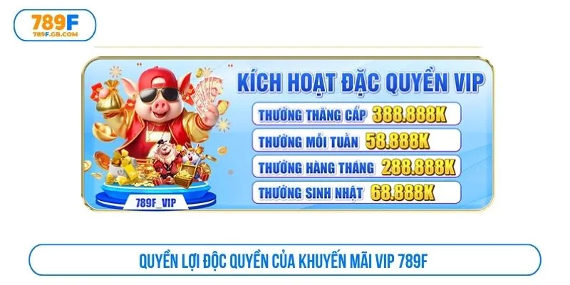 Quyền lợi độc quyền của khuyến mãi VIP 789F 