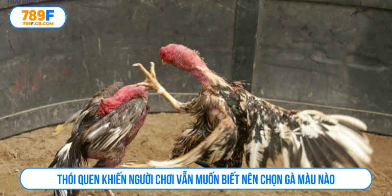 Thói quen khiến người chơi vẫn luôn quan tâm màu của chiến kê 
