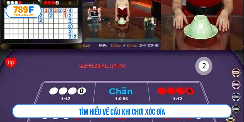 Tìm hiểu về cầu trong xóc đĩa 