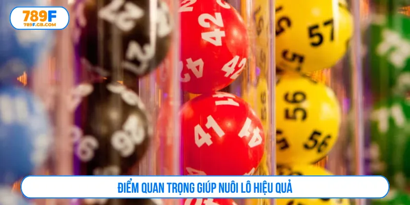 Ưu tiên những con số xuất hiện với tỷ lệ tối ưu