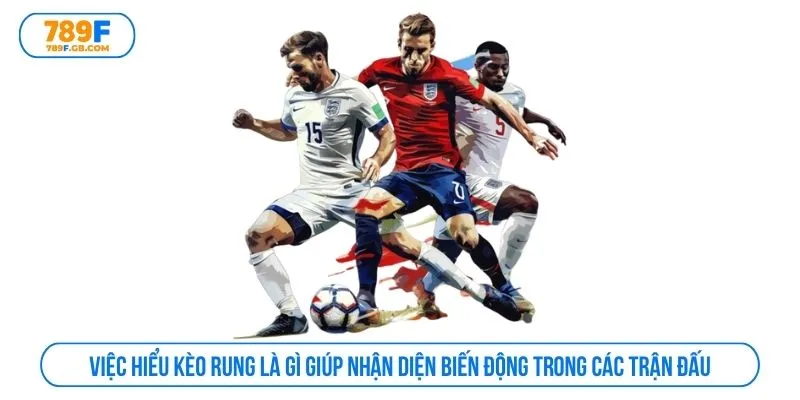 Việc hiểu kèo rung là gì giúp nhận diện biến động trong các trận đấu